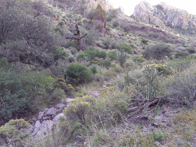 Illustration for article titled Instead of working, I bummed around Soledad Canyon and Organ Mountains-Desert Peaks National MonumentÂ